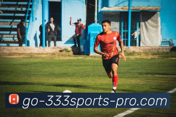 333体育平台生态图