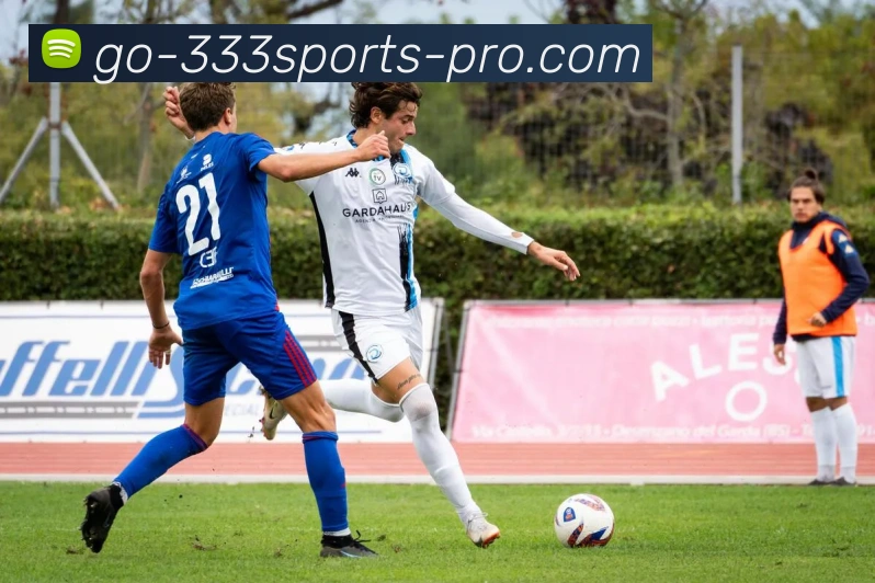 333体育APP 封面图